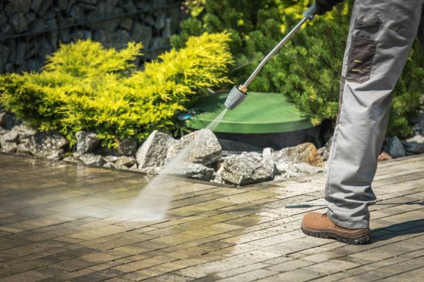 Best Driveway Pressure Washing  in Lake Lorraine, FL